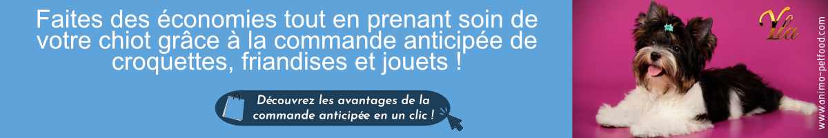 offre-speciale-a-prix-reduits-croquettes-friandises-jouets-pour-chiot